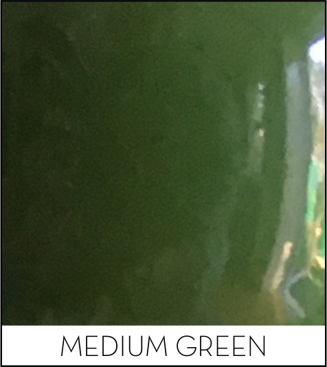 This image has an empty alt attribute; its file name is medium-green.png